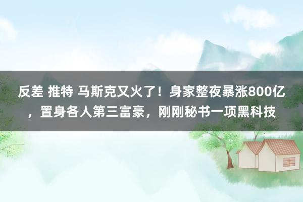 反差 推特 马斯克又火了！身家整夜暴涨800亿，置身各人第三富豪，刚刚秘书一项黑科技