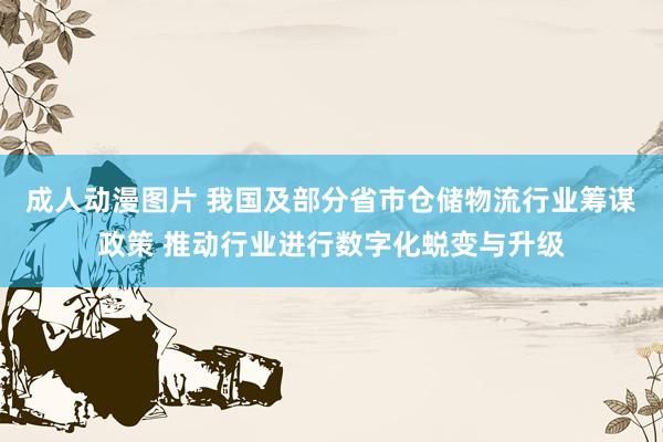 成人动漫图片 我国及部分省市仓储物流行业筹谋政策 推动行业进行数字化蜕变与升级