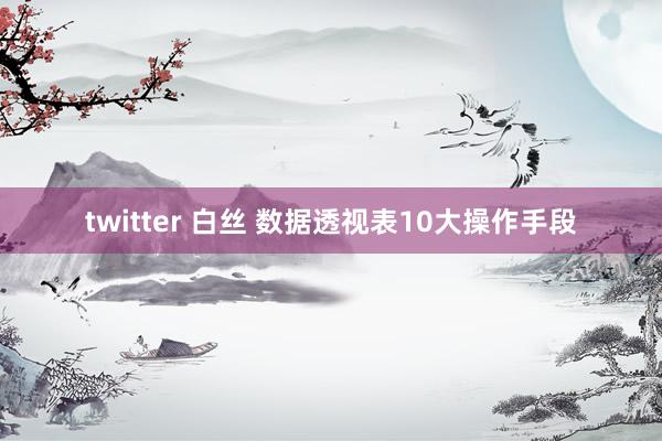 twitter 白丝 数据透视表10大操作手段